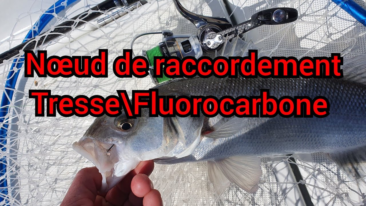Quelle Nœud de raccord Tresse\Fluorocarbone ??
