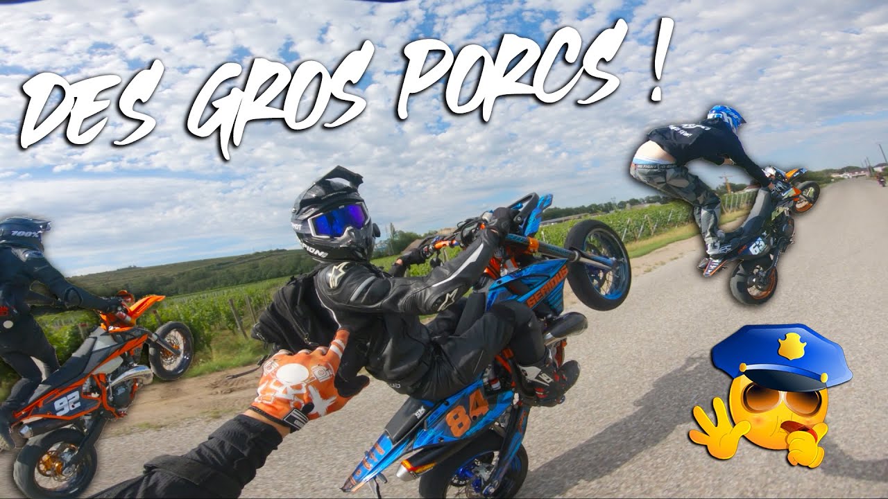 UN TROUPEAU DE SANGLIERS EN SUPERMOT' ! 🤯🐗