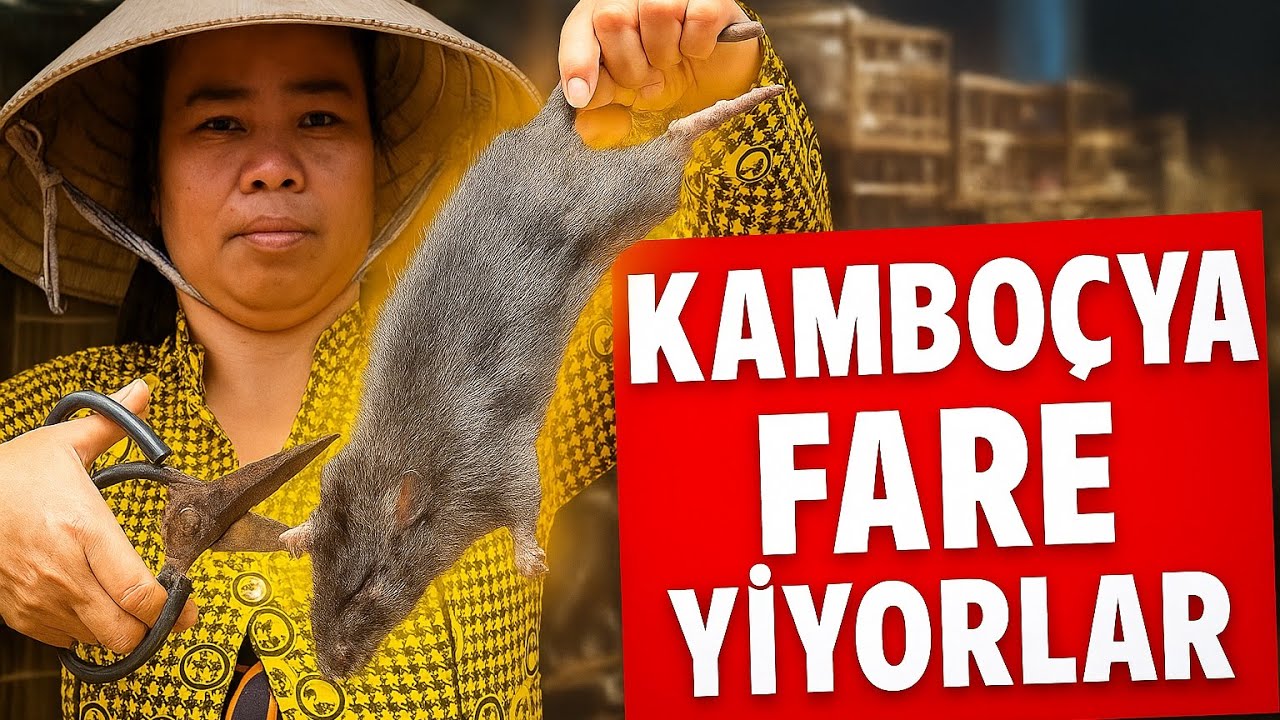 KAMBOÇYA’DA ŞOKE EDEN LEZZET: SOKAKTA FARE PİŞİRİP YEDİLER!