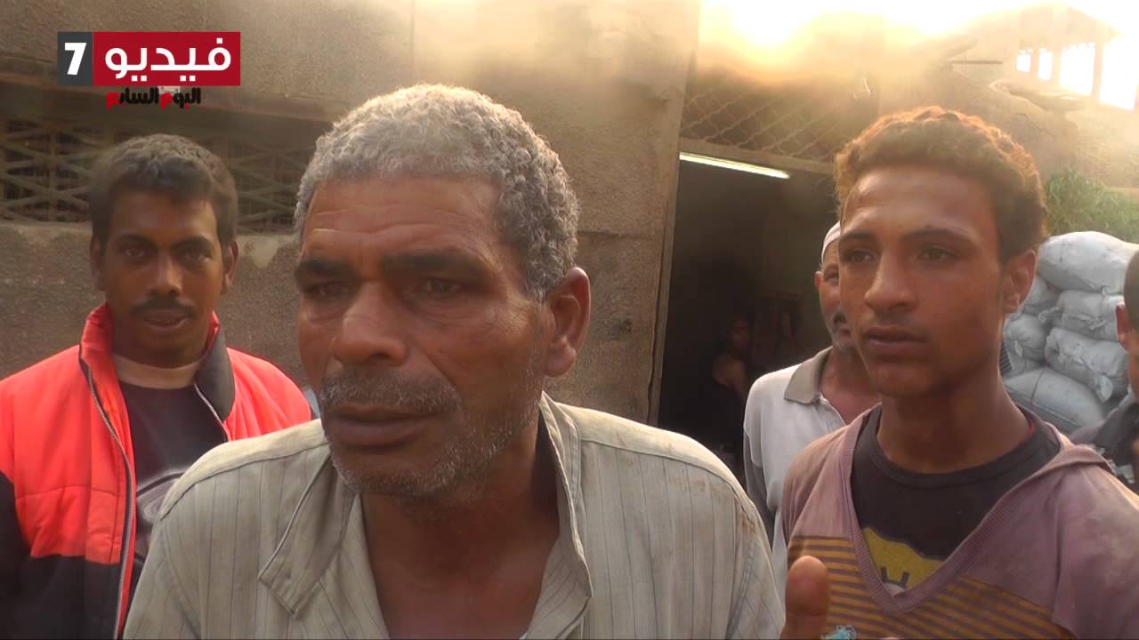 بالفيديو  عربجى بعين الصيرة  بنام أنا وعيالى مع البهايم
