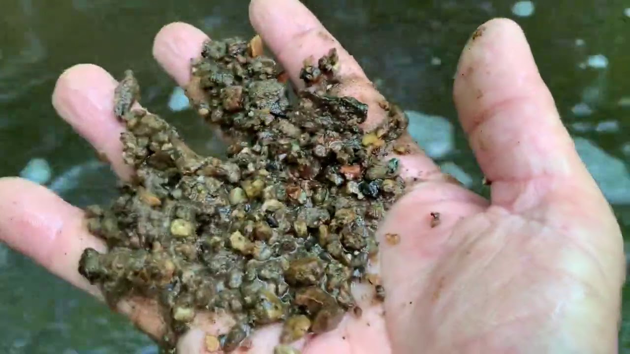 RICH layer of GOLD and GOLD NUGGET