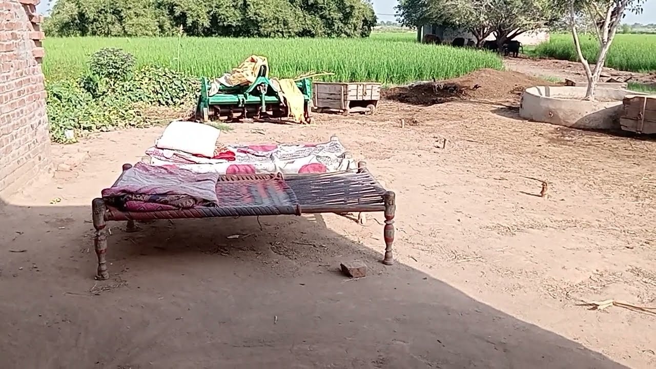Real Village Life, Beautiful Punjab, Punjabi Culture Punjab Pakistan