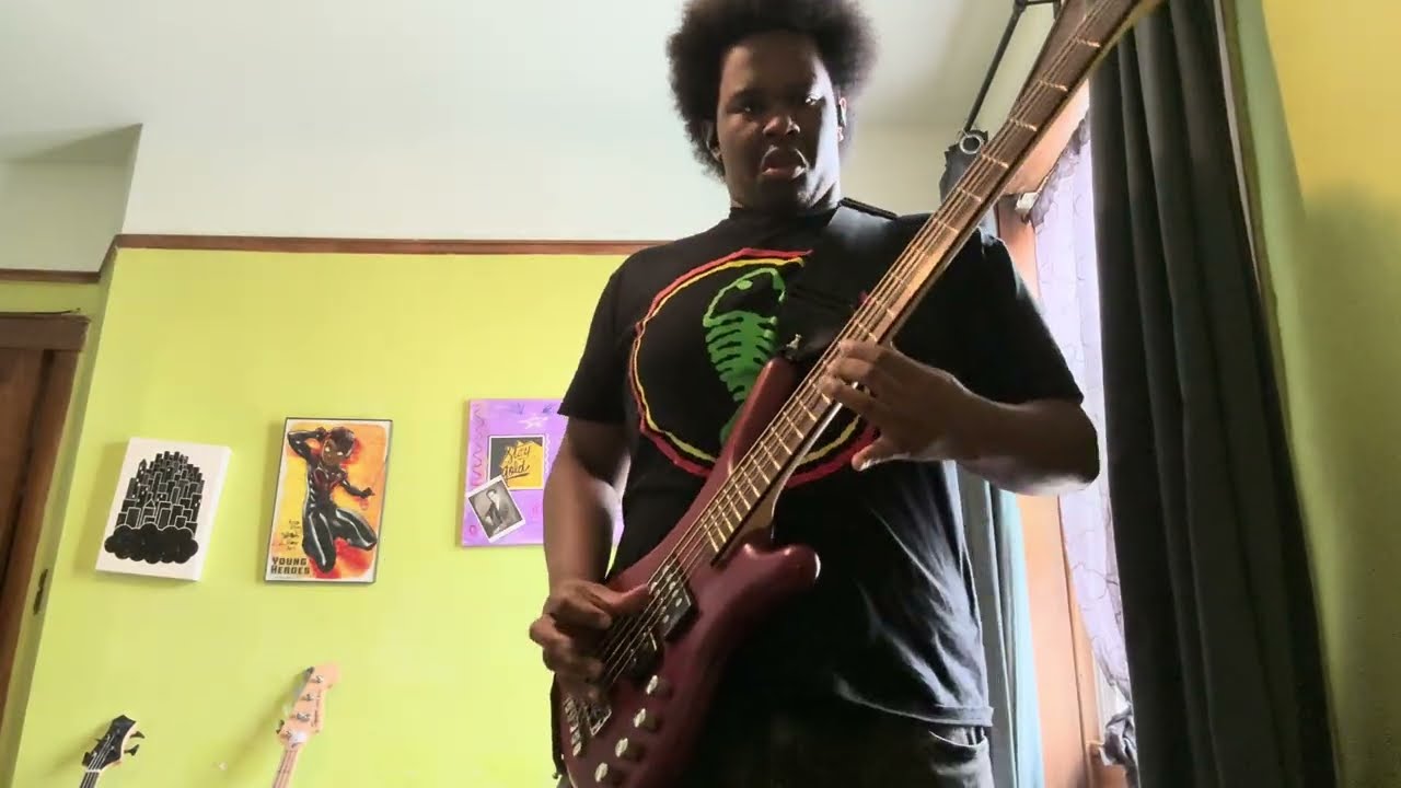 Red Hot Chili Peppers - Give It Away Bass Cover 