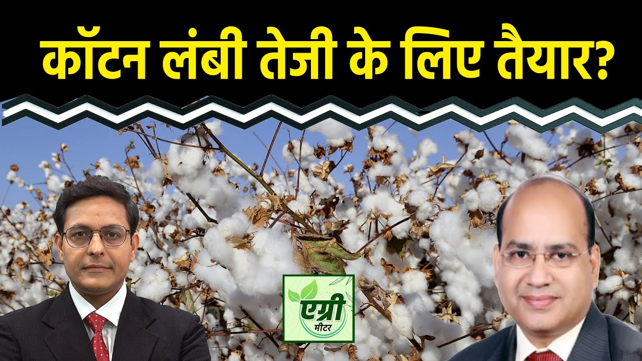 Commodity Market : Cotton में आगे तेजी या मंदी? Trading | NCDEX | Agri Commodity