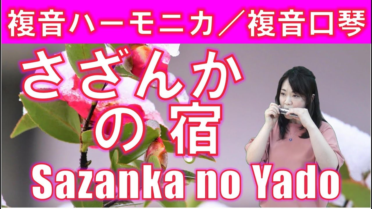 P517.  『さざんかの宿』”Sazanka no Yado”　 複音ハーモニカ  by  柳川優子 Yuko Yanagawa Tremolo Harmonica 1,000　複音口琴