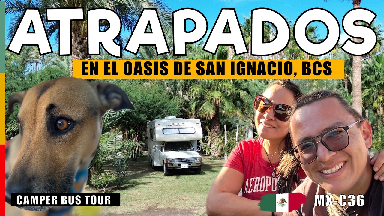 🌴 La Misión San Ignacio en la Baja NOS ATRAPÓ y allí vivimos algo impensado - CAMPER POR AMERICA 