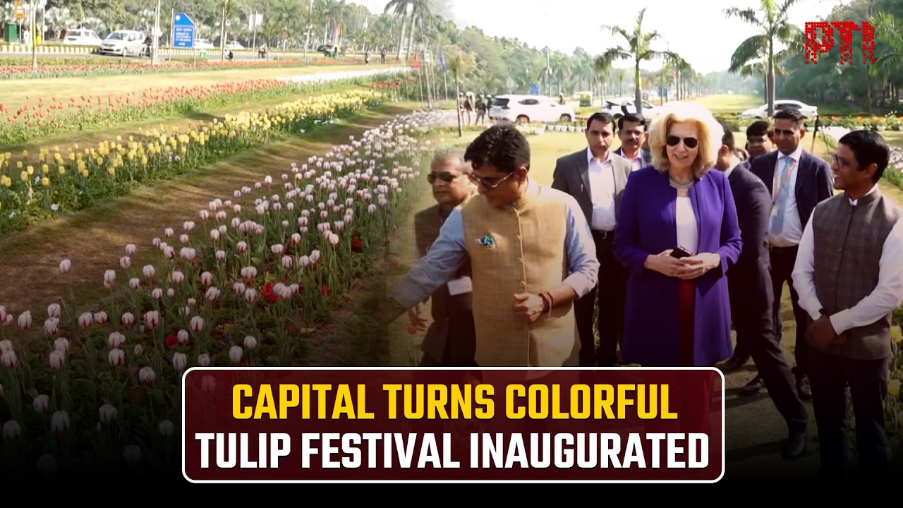 NDMC inaugurates 2026 Tulip Festival in Delhi, celebrating spring and India-Netherlands ties