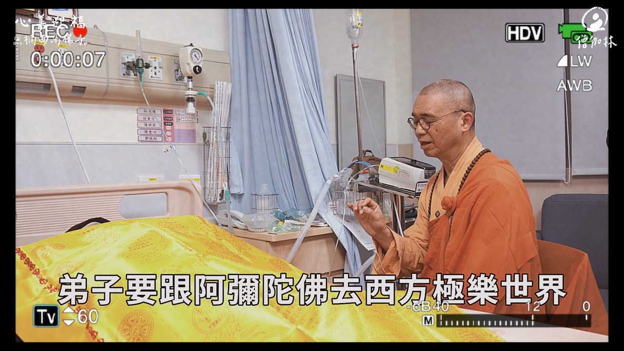 什麼是做七？做完七才能出殯嗎？生死之事也是宗教常識！｜藏和尚 不得不信 藏和尚 #EP59