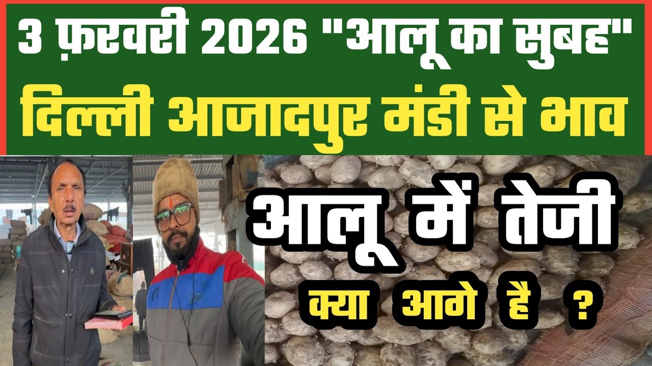 आलू की ग्राहकी क्यों बढ़ी? 🤔 Azadpur Delhi Mandi Today में 03-02-2026 के Potato Price DMT TV