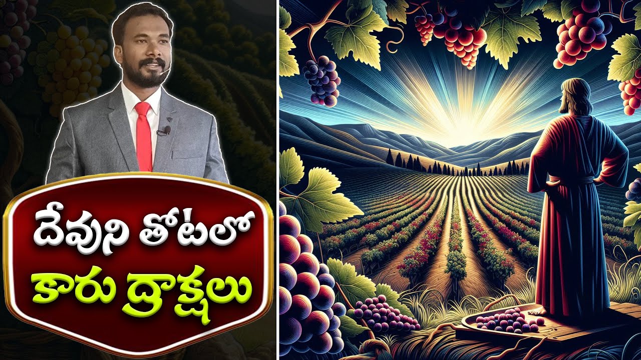దేవుని తోటలో కారు ద్రాక్షలు || యెషయా -5 || Pastor JOHN PAUL #biblestudy #isaiah #pastorjohnpaul
