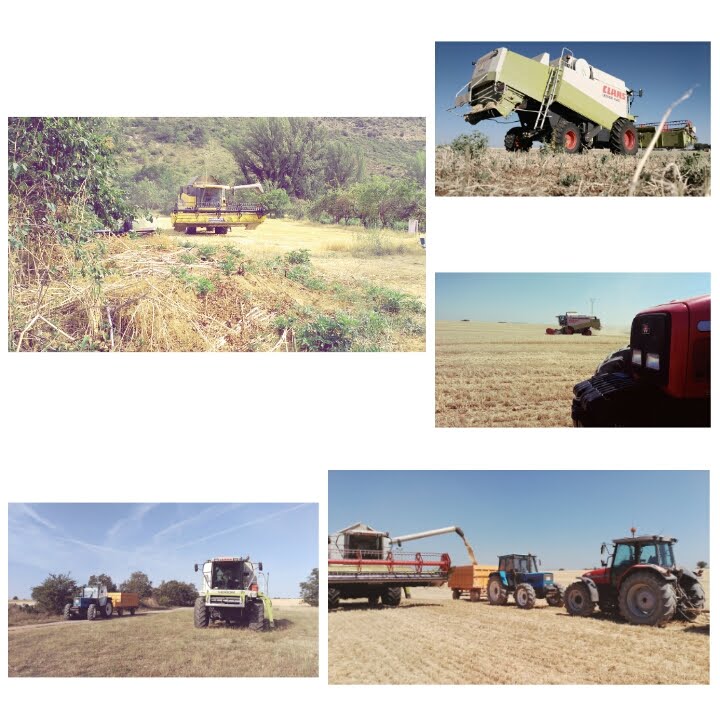 Cosecha de Cereal 2015 // Harvest 2015 (Massey Ferguson, Ebro, Claas, New Holland) [ HD ]