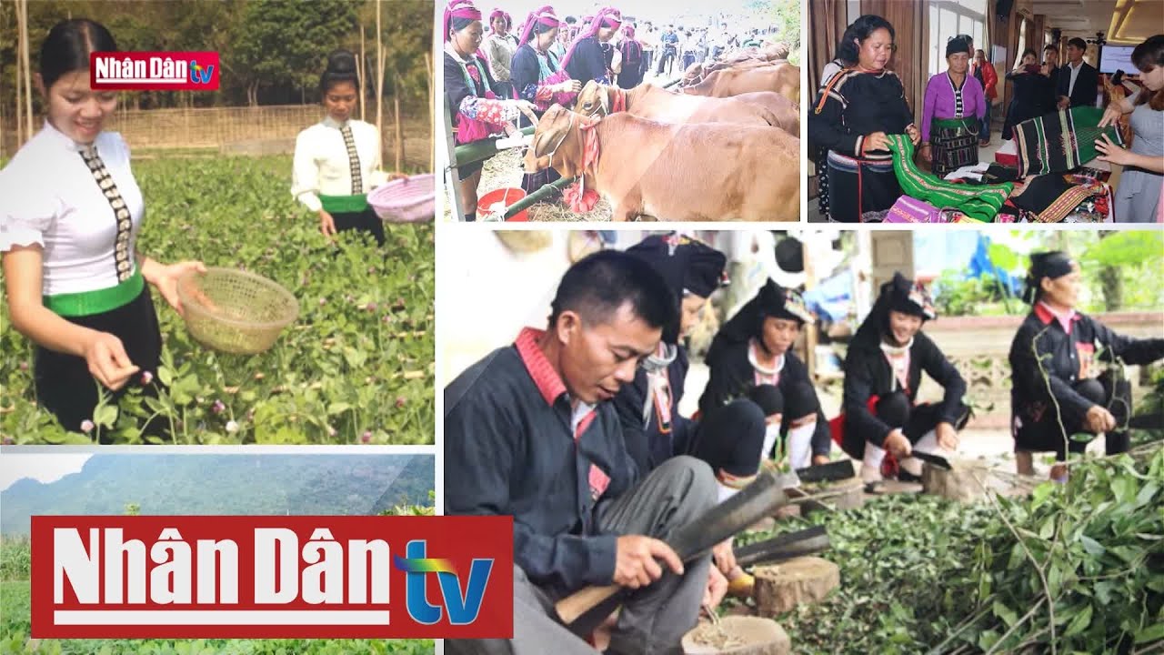 Thoát nghèo từ những mô hình kinh tế bền vững | Dân tộc - Miền núi