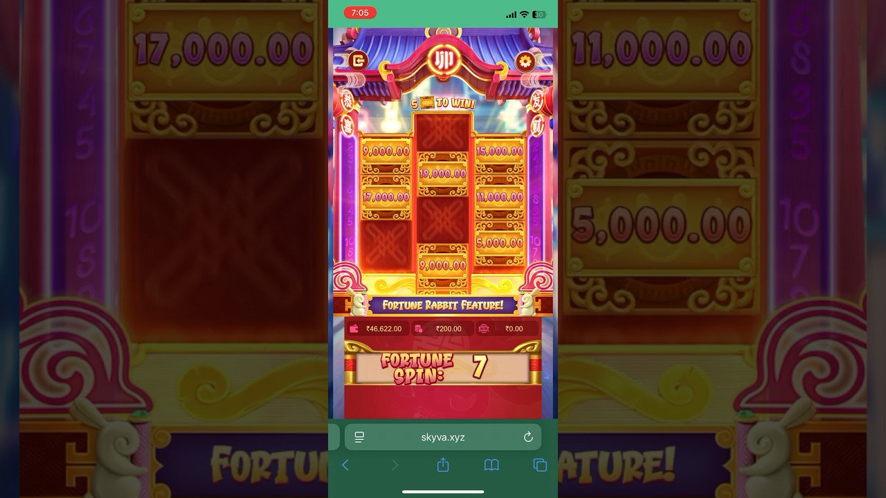 Fortune rabbit 