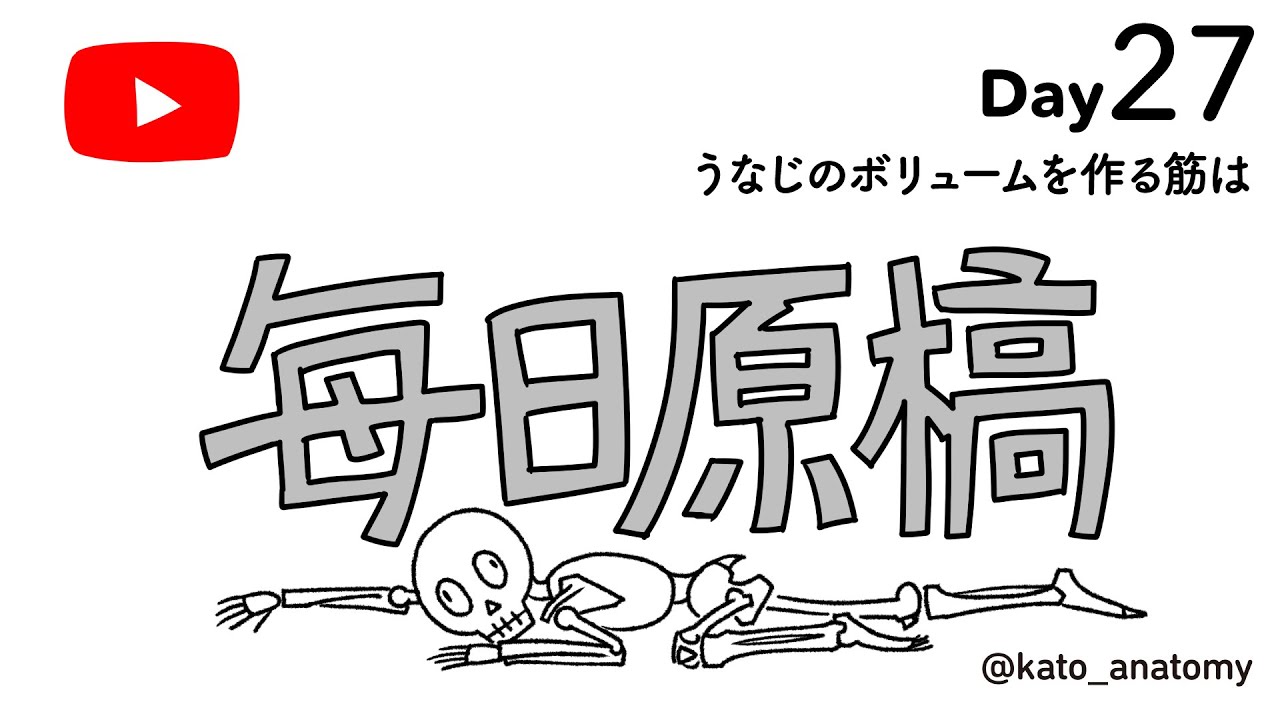 毎日原稿　Day27
