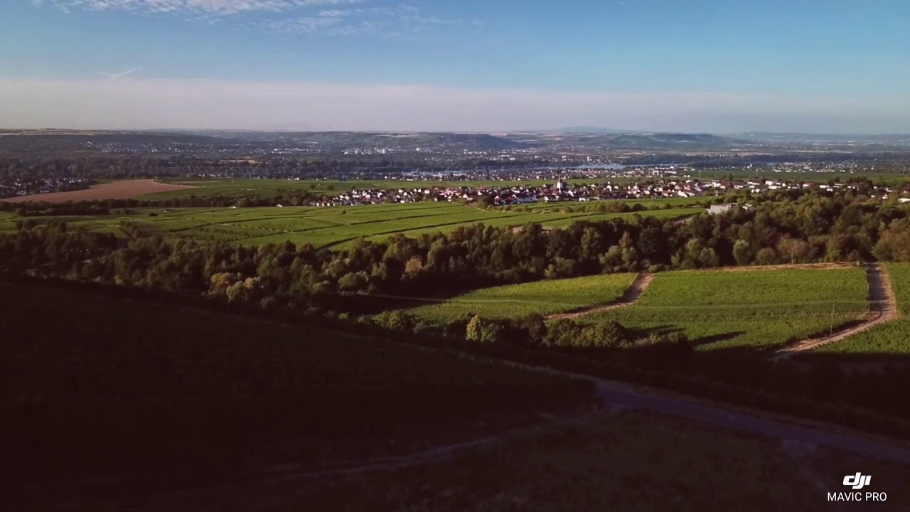 Hallgarten Rheingau
