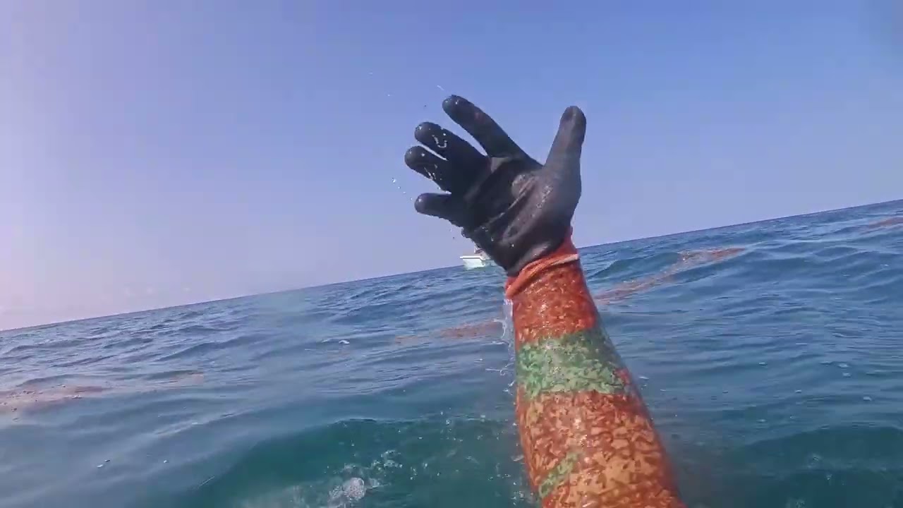 Pesca submarina  finales de junio 2024