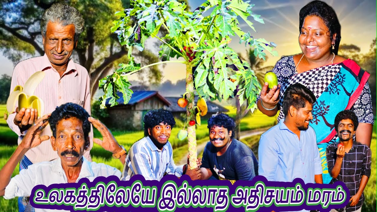 எல்லா பழமும் காய்க்கும் ஒரே மரம் இந்தப் பழத்தை சாப்பிட்டால் உங்கள் பிரச்சனை தீரும் | Pana Matta