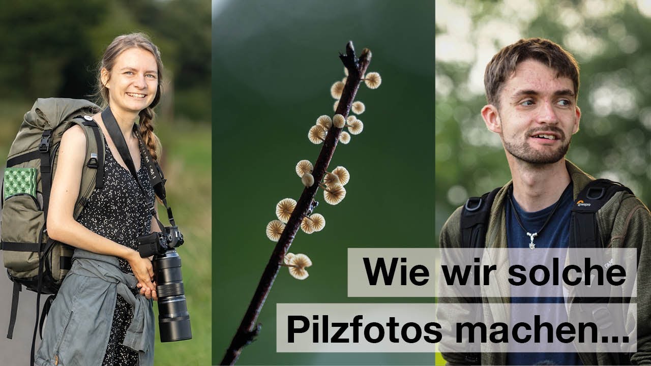 PILZE und EULEN fotografieren - Naturfotografie im Herbst [mit ND2-400 #kfconcept]