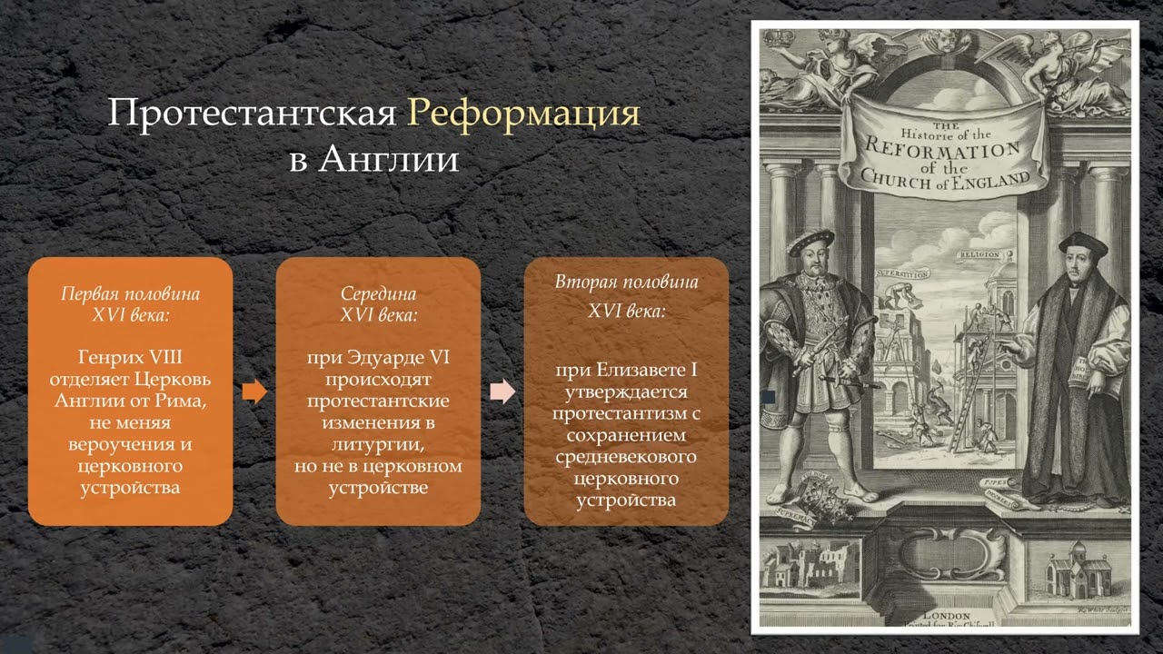 Презентанция русского перевода книги. Бейли 