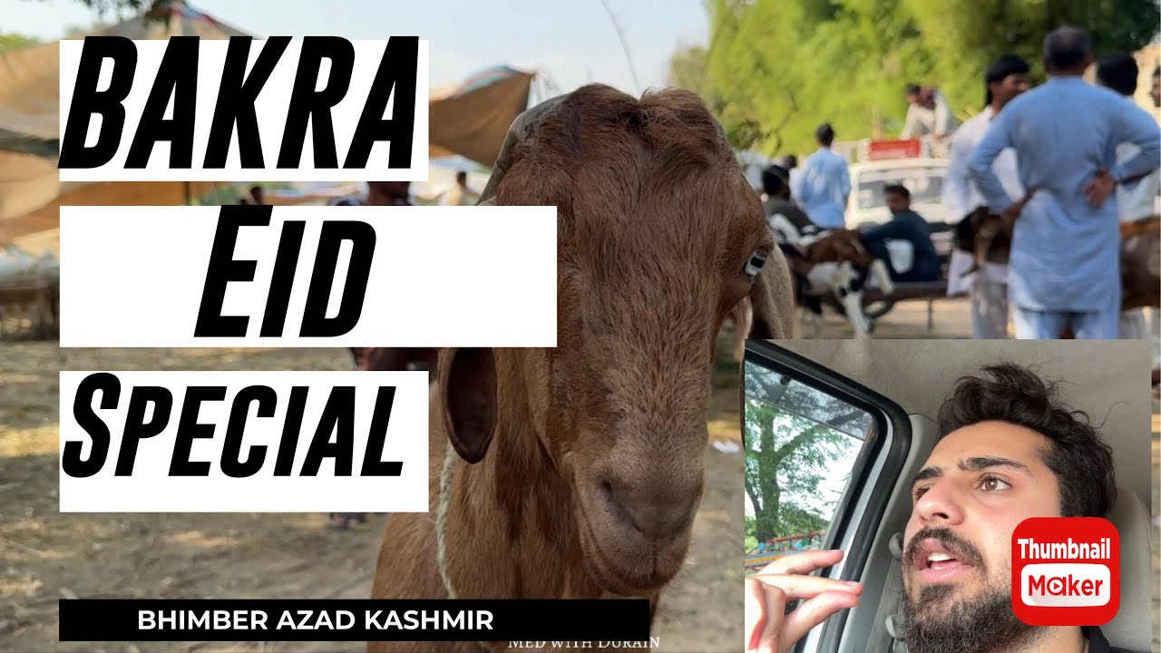 Bakra Eid Mandi Vlog | Bhimber Azad Kashmir ft Dr Durain
