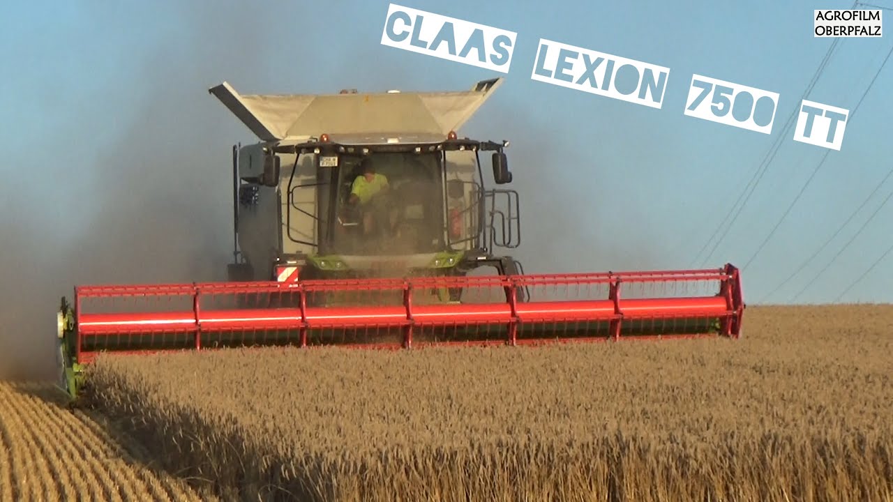 Dreschfieber `24: Claas Lexion 7500 Terra Trac bei der Weizenernte - Lohnunternehmen Pommer