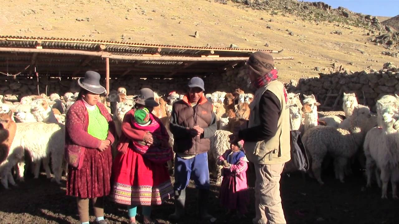 Acciones frente al frío extremo en Arequipa