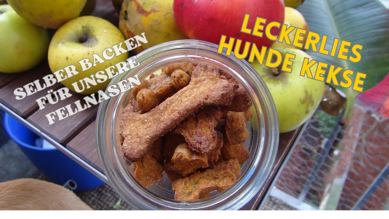 Hundekekse selber backen: Gesunde Leckerlies für stolze Vierbeiner