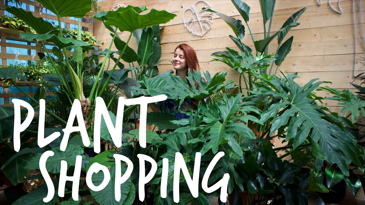 PLANT SHOPPING al VIVAIO con me!