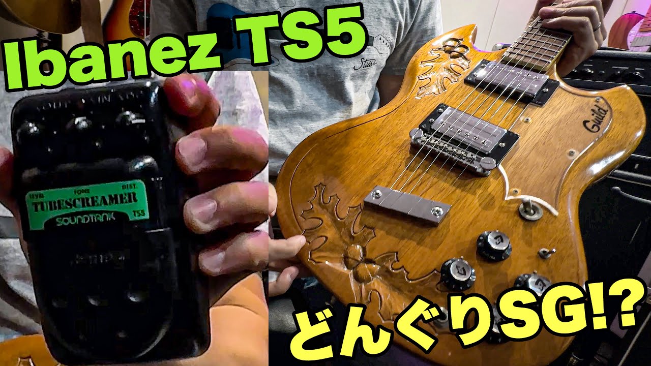 【ヴィンテージ】ギター購入‼ 1975年製 Guild S-100 / Ibanez TS5 Tube Screamer / 1967年製 Fender Proreverb
