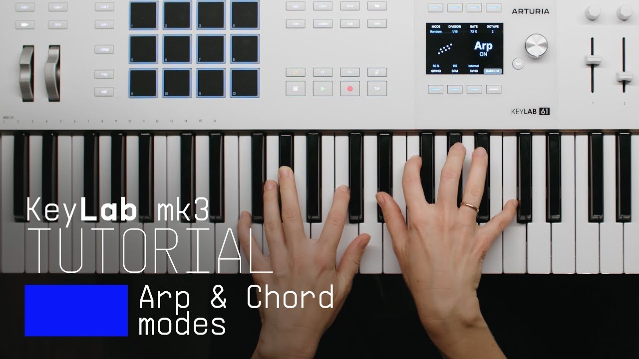Tutorial | KeyLab mk3 - How to Control Arp and Chord Mode