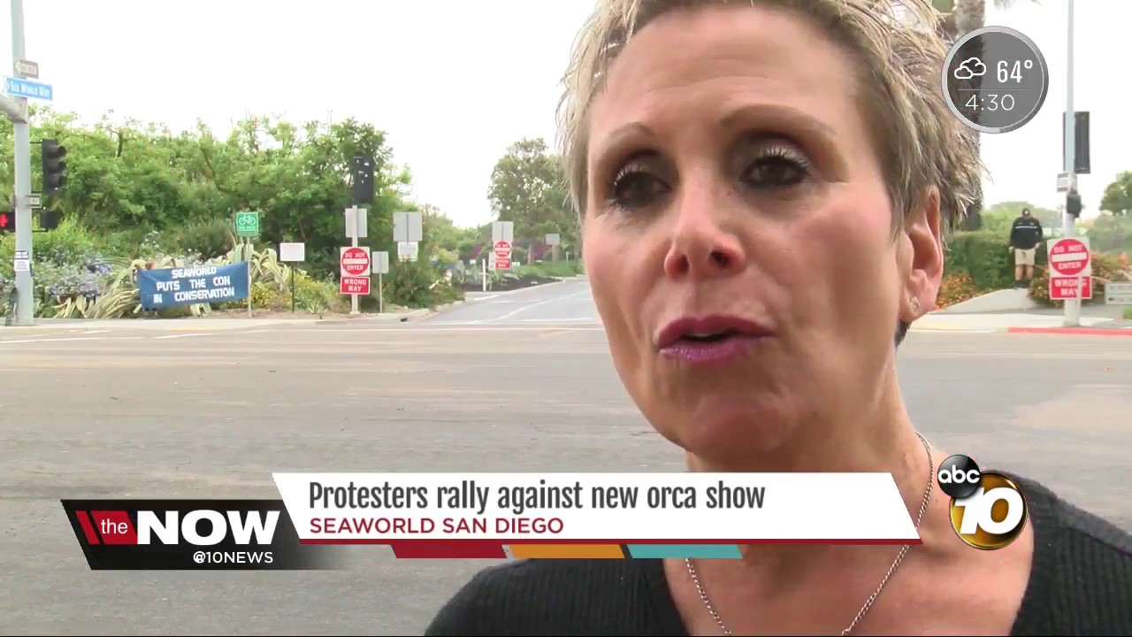 Protesters rally outside Seaworld against new orca show