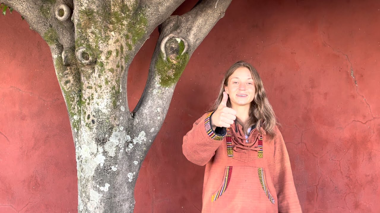 How to Ground - First week living in Mexico