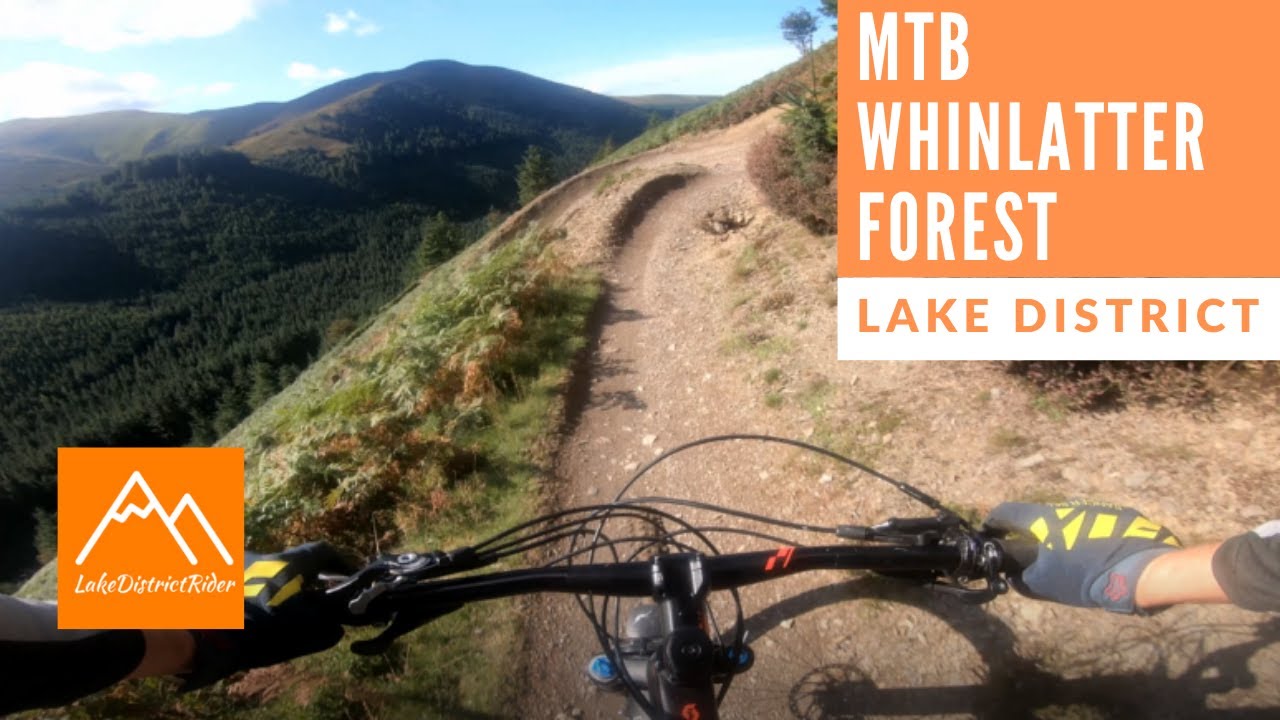 Whinlatter Forest MTB trail centre guide / Lake District mountain biking
