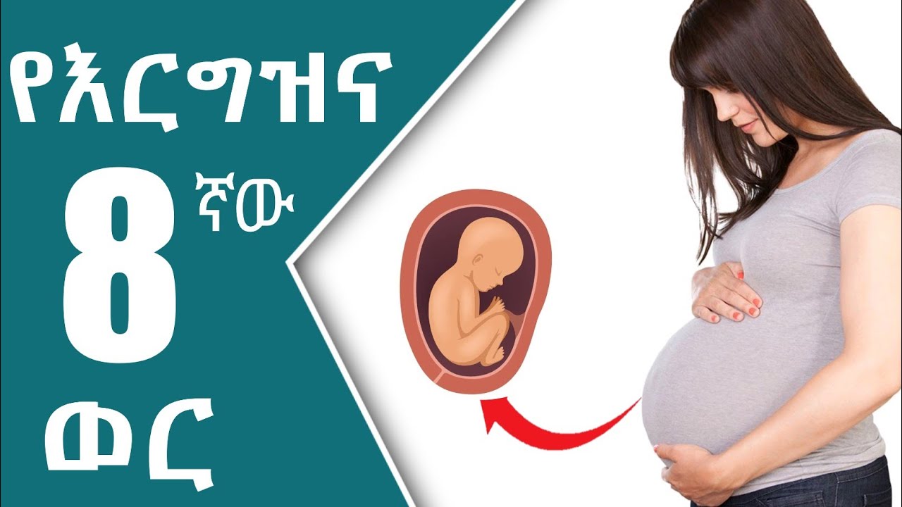 🔴 የእርግዝና ስምንተኛው ወር