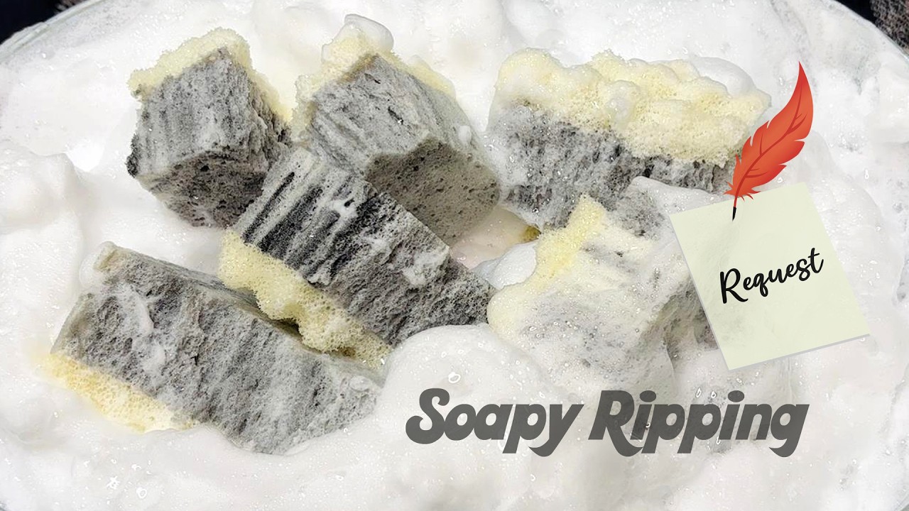ASMR Sponge 1199.Soapy Ripping