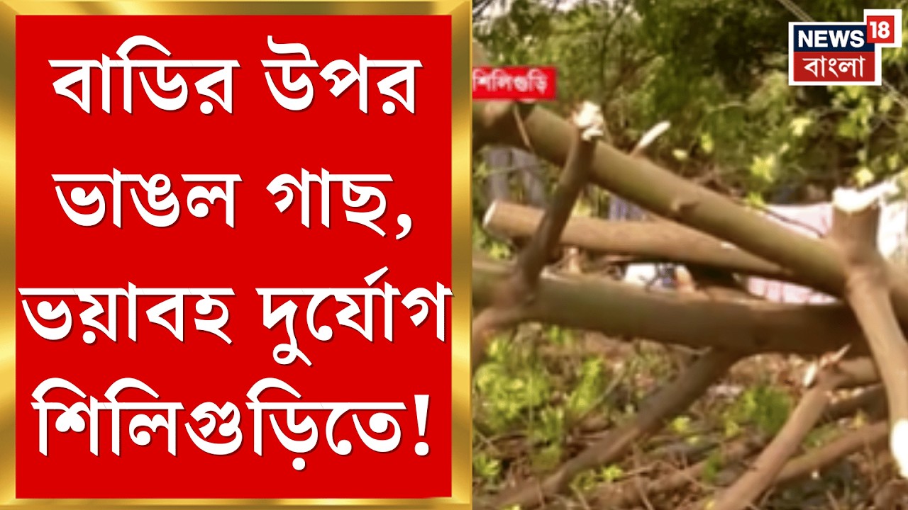 Weather News | ঝড়ের দাপটে উড়েছে বাড়ির চাল, Siliguri-তে গাছ পড়ে দীর্ঘক্ষণ বাড়িতে আটকে দম্পতি |