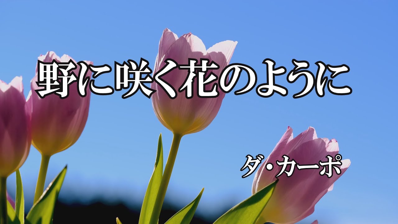 野に咲く花のように / ダ・カーポ (歌詞入り)
