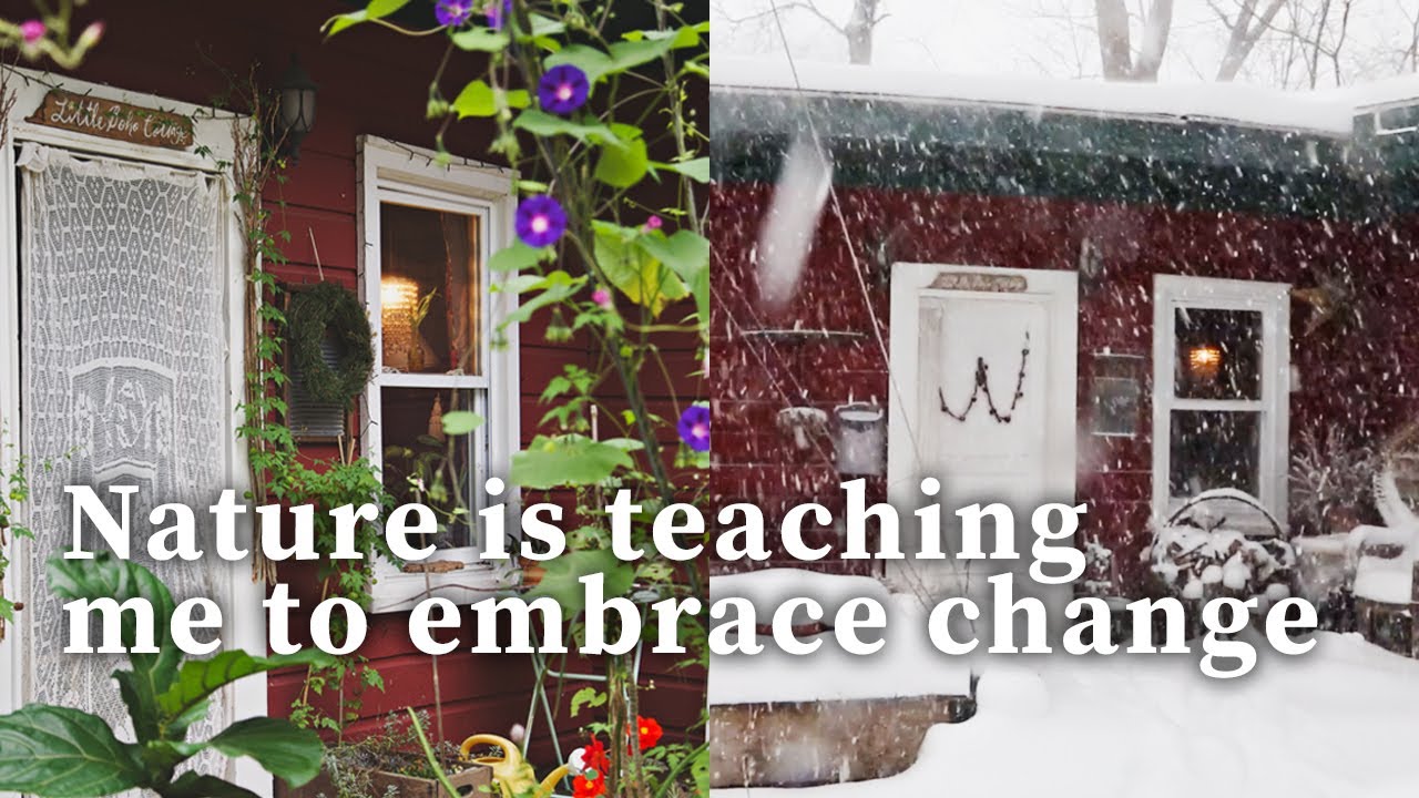 STORY FOURTEEN: Nature is teaching me to embrace change (and I've got a big one right now!)
