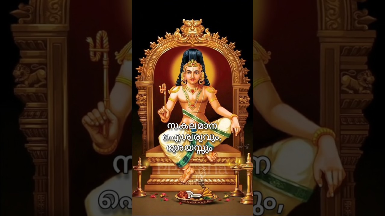 വിഷ്ണുമായ സ്വാമിയെ അറിയാം #vishnumaya #chathan #vishnumayaswamytemplekerala #vishnumayaswami