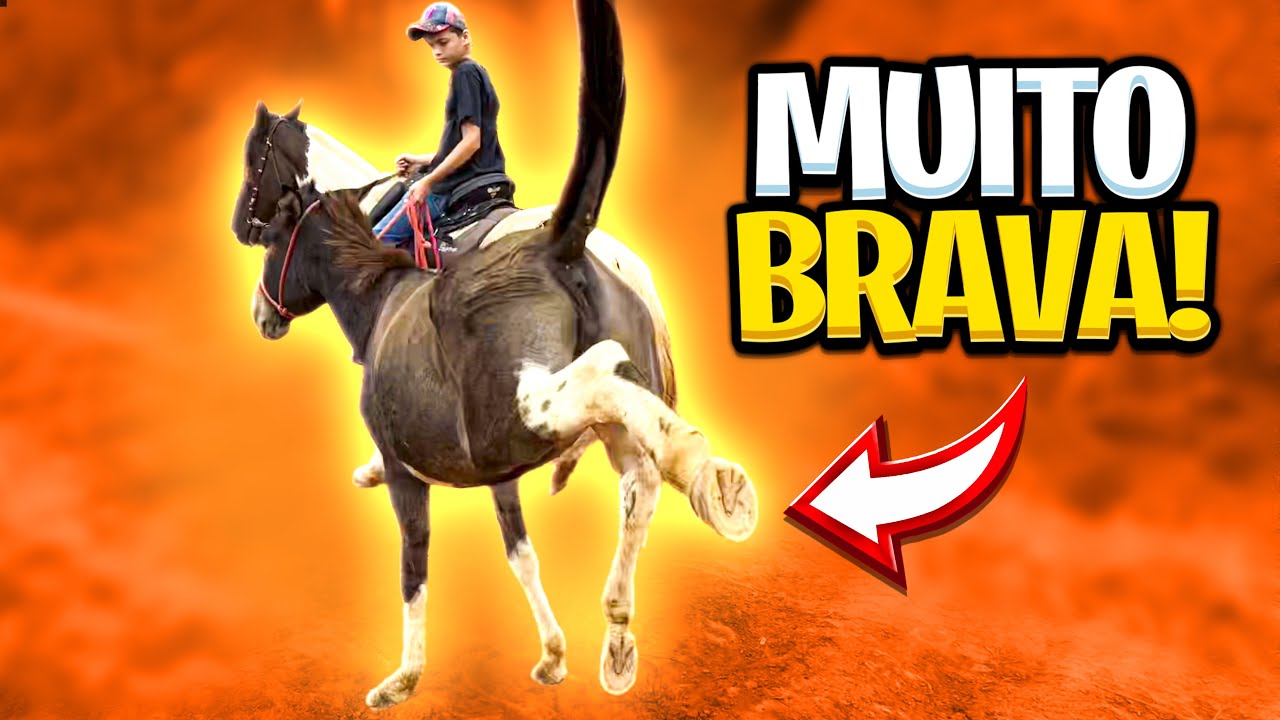 MULA XUCRA dando COICE em PEÃO