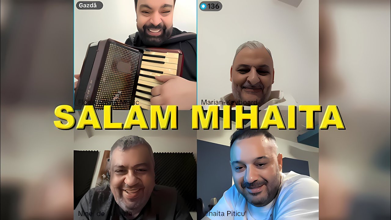 FLORIN SALAM , MIHAITA PITICU & NINEL