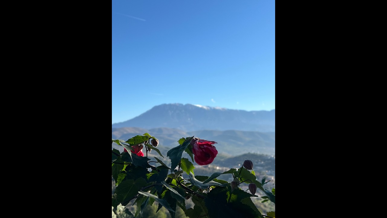 Albania Kosovo December 2025