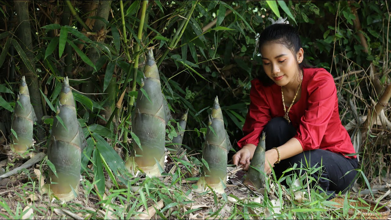 Bamboo shoot in my homeland and cooking soup for my family - Healthy food