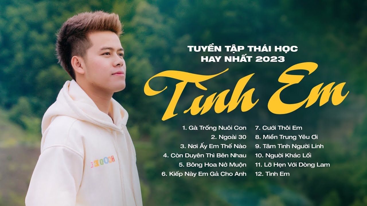 Gà Trống Nuôi Con, Ngoài 30,... | LK Nhạc Trữ Tình, Nhạc Trẻ Tâm Trạng Hay Nhất 2024