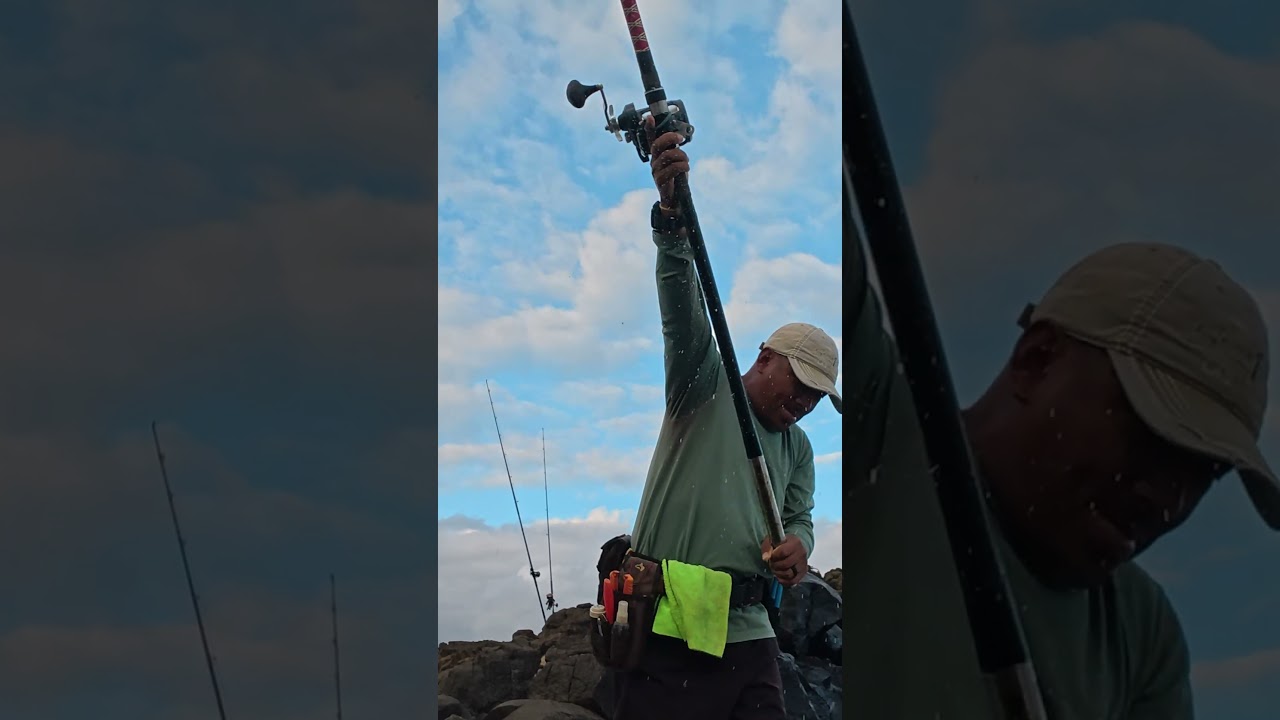 Hawaii HandyMan! #hawaii #fishing #shorecasting #ulua #gianttrevally #shimano