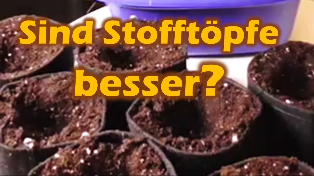 Bieten Stofft&ouml;pfe Vorteile beim Growen? Richtig gie&szlig;en, waschen. Schimmel?