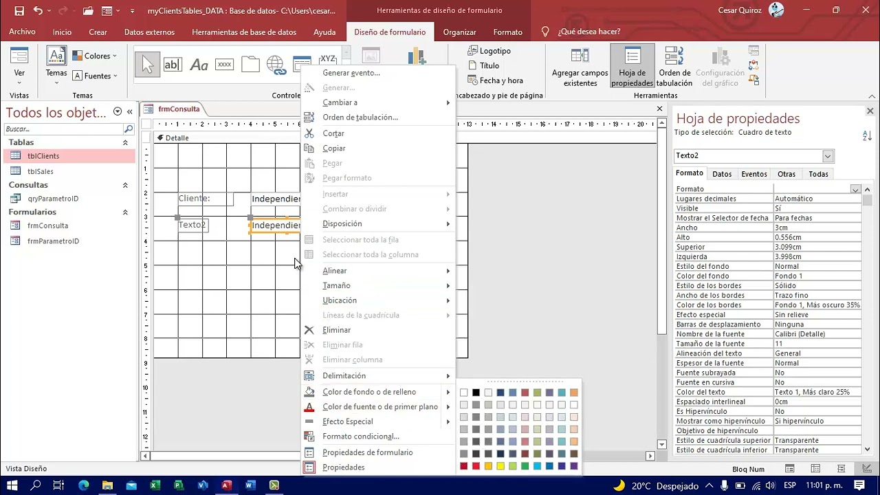 Formularios de Consulta en Microsoft Access