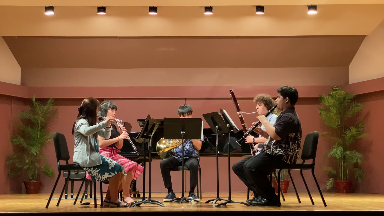 Disney Music Collection, for Woodwind Quintet