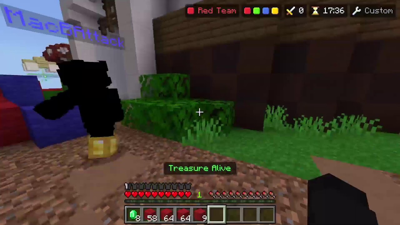 Playing Minecraft hive