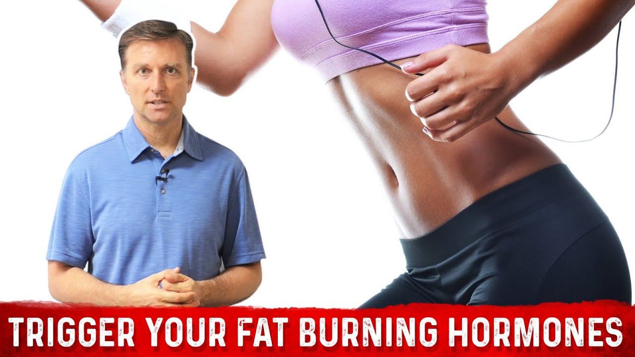 How to Trigger Your Fat Burning Hormones &ndash; Dr. Berg